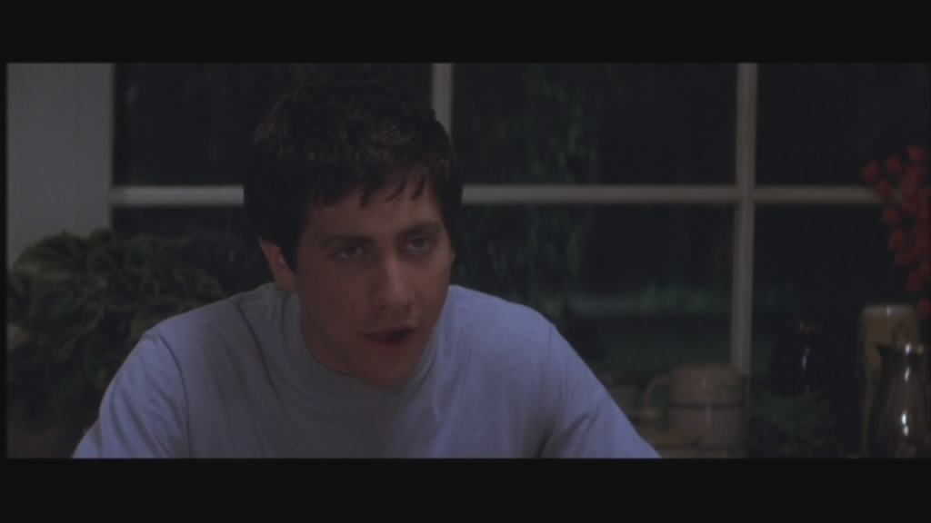snapshot20090209210111 Jake Gyllenhall plays Donnie, a troubled young teen.