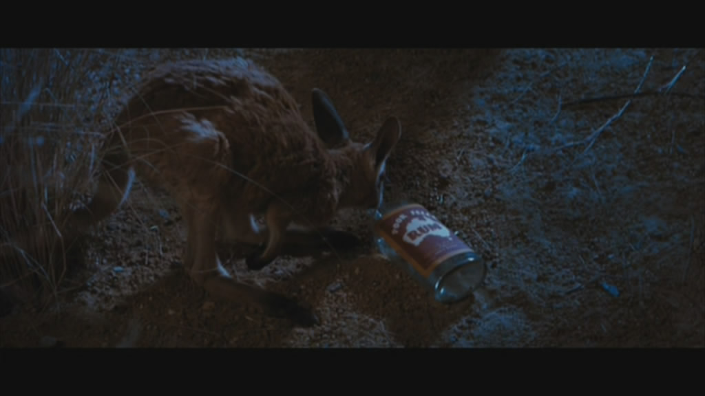 Even the animals in Australia like to drink.