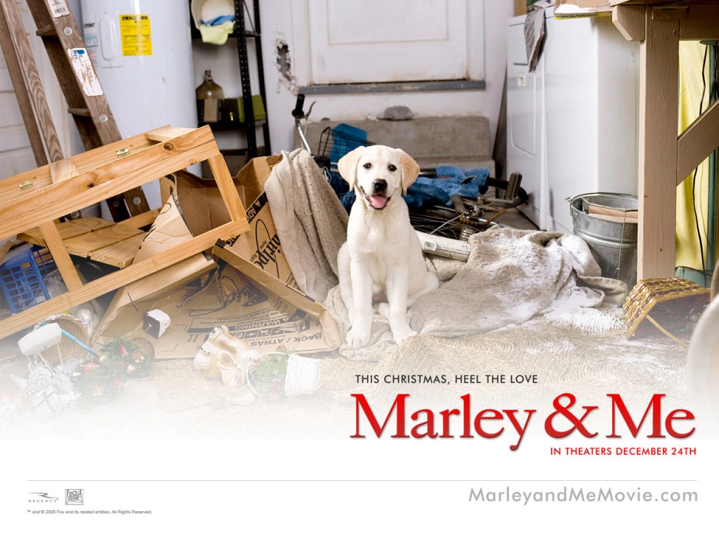 marley_and_me_wallpaper_4_1024 marley_and_me_wallpaper_4_1024