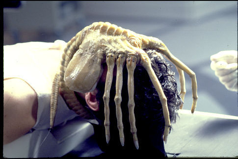 alien-facehugger