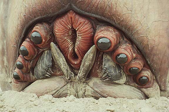 Any film where the central bad guys include a massive vagina with eyeballs