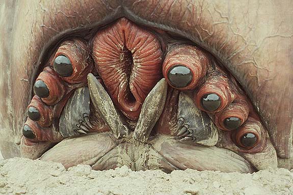 Any film where the central bad guys include a massive vagina with eyeballs Any film where the central bad guys include a massive vagina with eyeballs