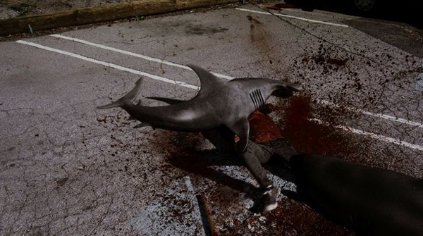 Even on dry land, sharks can still attack. Where's your John Williams score now, humans?