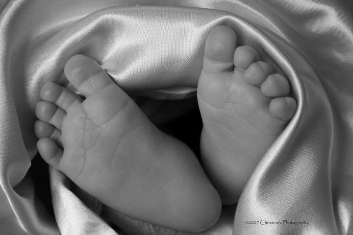 feet2