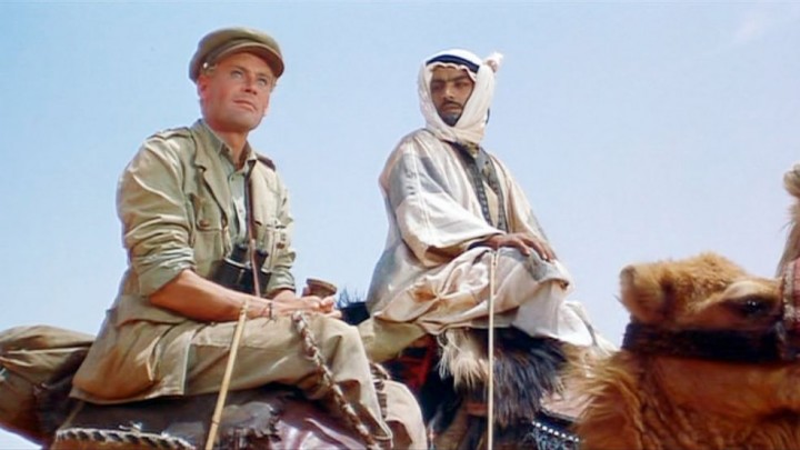 I say, you make that camel look good, my man.