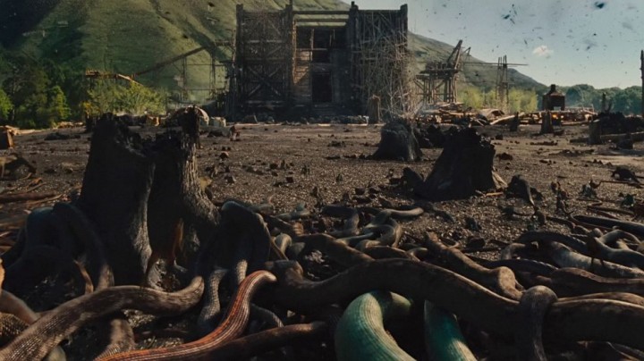 Snakes in the Ark is the name of my brothel.