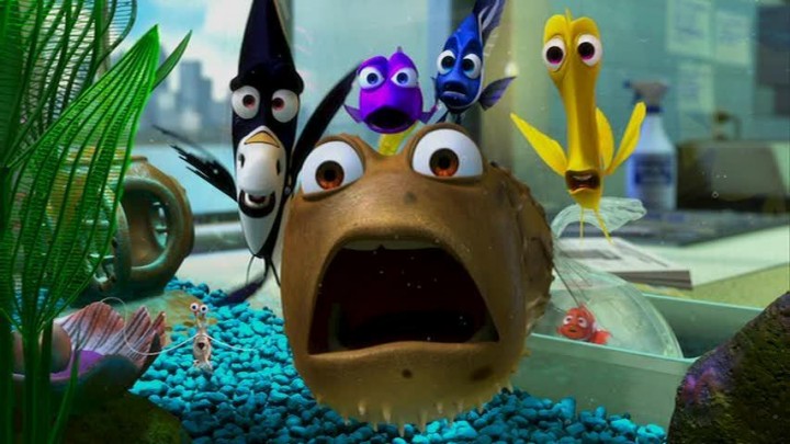 finding-nemo-finding-nemo-3568748-853-480
