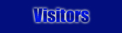 Visitors-Widget-logo