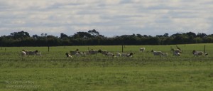 img_8153