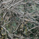 img_8174