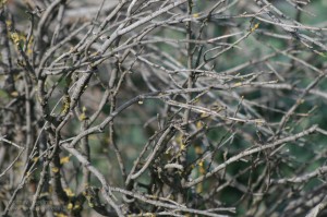 img_8174