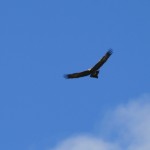 img_8198