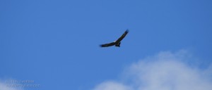img_8198