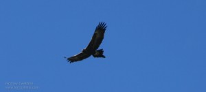 img_8200