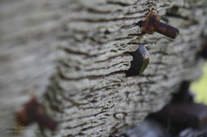 img_8305
