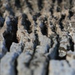 img_8310