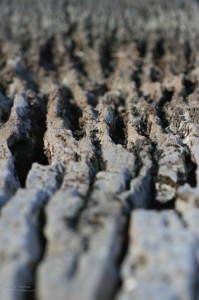 img_8310
