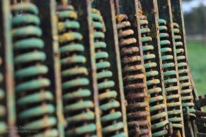 img_8317