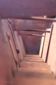 img_8322