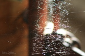 img_8355