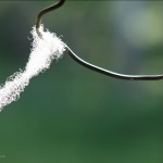 img_8365