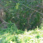 img_8379