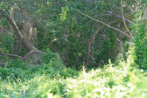 img_8379