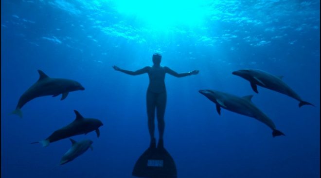 mandy-with-dolphins-stroke