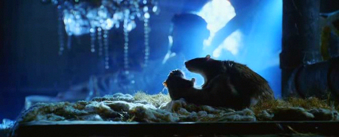 Every film needs a shot of two rats copulating.
