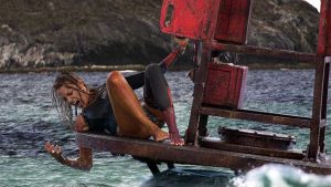 the shallows wallpaper