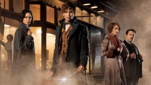 fantastic beasts wallpaper