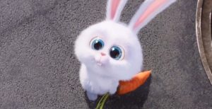 bunnbar640