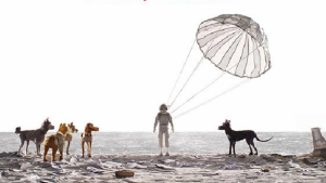 isle-of-dogs-wes-anderson-next-movie_0