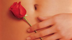 american-beauty-cover