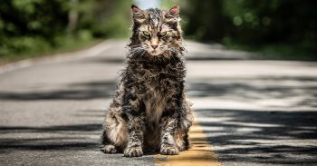 PET SEMATARY