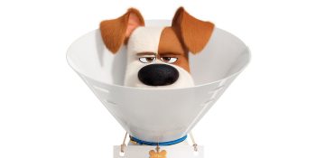 secret-life-of-pets-2-feature