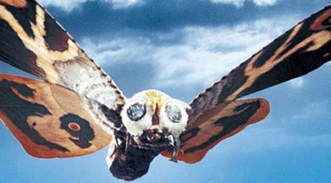 MOTHRA1520crop_685_426_81_s