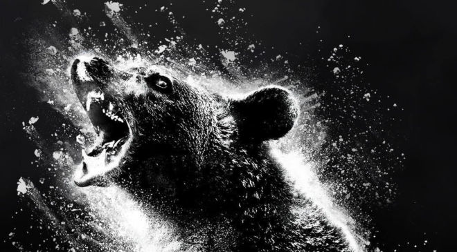 cocaine-bear-2
