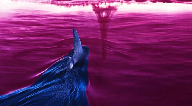 colorized-image-of-under-paris-poster-with-shark-fin