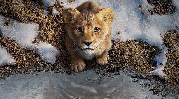 wallpapersden.com_poster-of-mufasa-the-lion-king_wxl